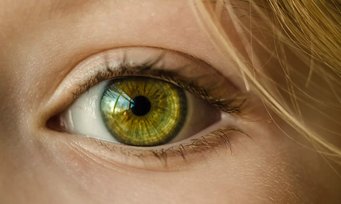 Schauen ist nicht gleich Sehen. Unser Gehirn lässt sich recht einfach austricksen. Schauen ist nicht gleich Sehen. Unser Gehirn lässt sich recht einfach austricksen.