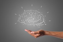 Die Verarbeitungsprozesse im Gehirn müssen neu erklärt werden. Grundlage sind Modelle aus theoretischer Informatik und Verhaltensforschung.