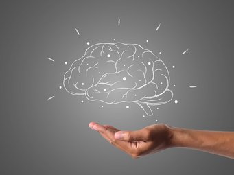 Die Verarbeitungsprozesse im Gehirn müssen neu erklärt werden. Grundlage sind Modelle aus theoretischer Informatik und Verhaltensforschung. Die Verarbeitungsprozesse im Gehirn müssen neu erklärt werden. Grundlage sind Modelle aus theoretischer Informatik und Verhaltensforschung.