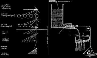 The brain´s processing needs to be explained in a new way. This is based on models from theoretical computer science and behavioral research. The brain´s processing needs to be explained in a new way. This is based on models from theoretical computer science and behavioral research.