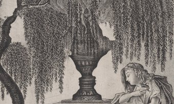 Eine Urne und ein Baum oder aber GesichterDie wechselnden Interpretionen können im präfrontalen Kortex beobachtet werden. Eine Urne und ein Baum oder aber GesichterDie wechselnden Interpretionen können im präfrontalen Kortex beobachtet werden.