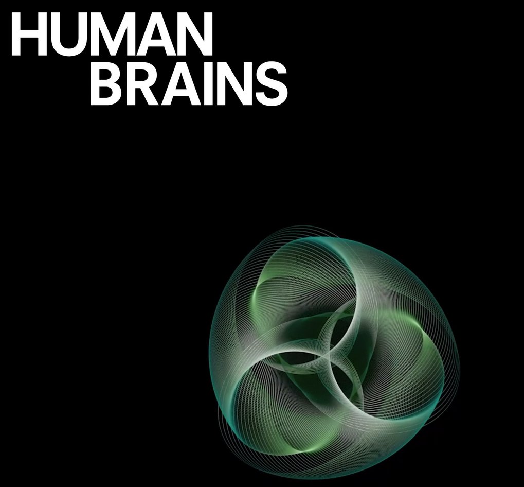 The “Human Brains” Project