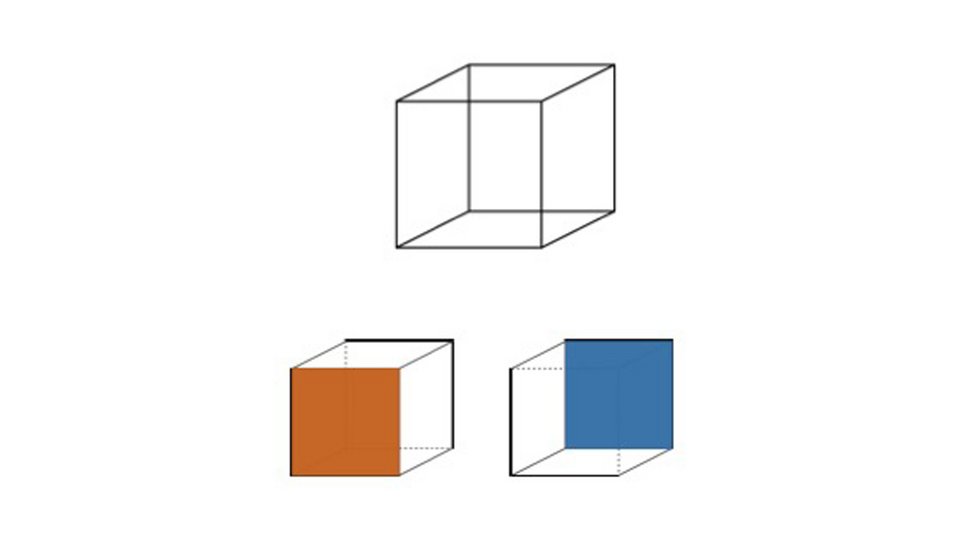 The bi-static figure of the Necker cube can be perceived as pointing left or right.