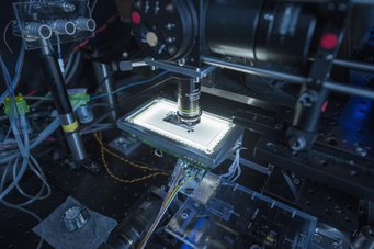 Zebrafischlarven unter dem Trackingmikroskop. Zebrafischlarven unter dem Trackingmikroskop.