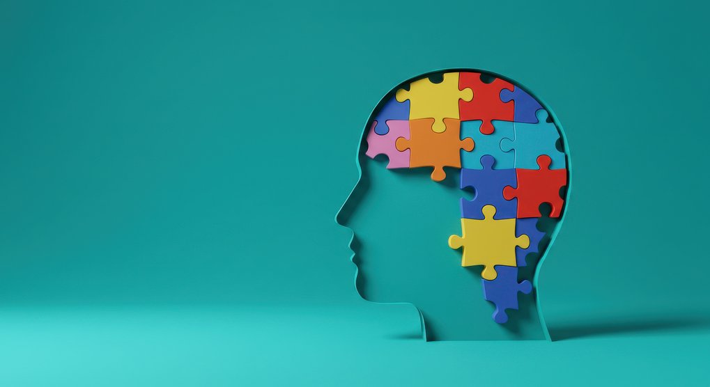 The colors we perceive follow consistent brain codes in all humans