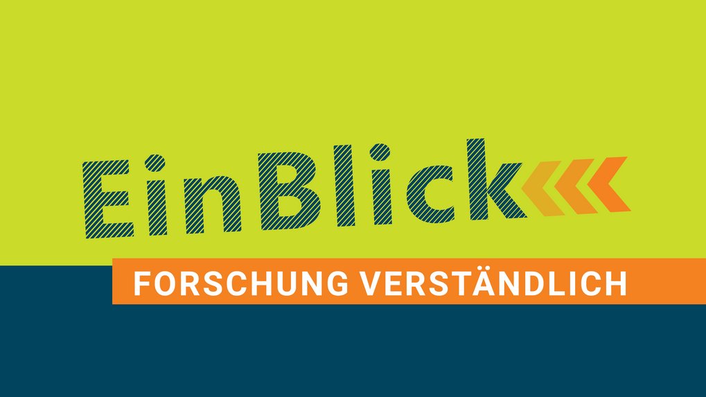 Wort-Bild-Marke der Vortragsreihe "EinBlick - Forschung verständlich"