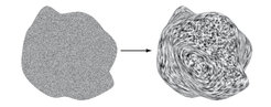 Eine neue optische Täuschung: Zufallsrauschen (links) nimmt eine dreidimensionale Form an (rechts).