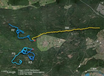 Orientierungsexperiment im Bienwald (Rheinland-Pfalz).
Die roten Punkte stellen die Startpunkte der Probanden dar, die farbigen Linien ihre Laufwege. Zu Beginn des Experiments wurden die Probanden aufgefordert, möglichst geradeaus in eine bestimmte Richtung zu laufen. Während sich die Probanden PS, KS und RF nicht am Sonnenstand orientieren konnten, schien bei SM kurz nach Beginn der Wegstrecke die Sonne. Orientierungsexperiment im Bienwald (Rheinland-Pfalz).
Die roten Punkte stellen die Startpunkte der Probanden dar, die farbigen Linien ihre Laufwege. Zu Beginn des Experiments wurden die Probanden aufgefordert, möglichst geradeaus in eine bestimmte Richtung zu laufen. Während sich die Probanden PS, KS und RF nicht am Sonnenstand orientieren konnten, schien bei SM kurz nach Beginn der Wegstrecke die Sonne.